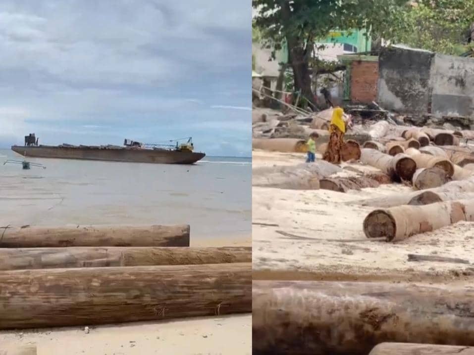 Penampakan kapal tongkang dan kayu gelondongan terdampar di Pantai Tanjung Setia, Pesisir Barat. 