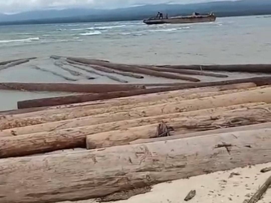 Penampakan kapal tongkang dan kayu gelondongan terdampar di Pantai Tanjung Setia, Pesisir Barat