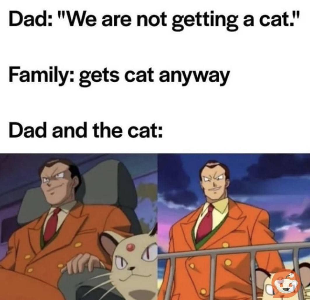 meme kucing dan ayah