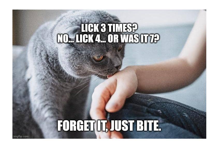 meme kucing menggigit