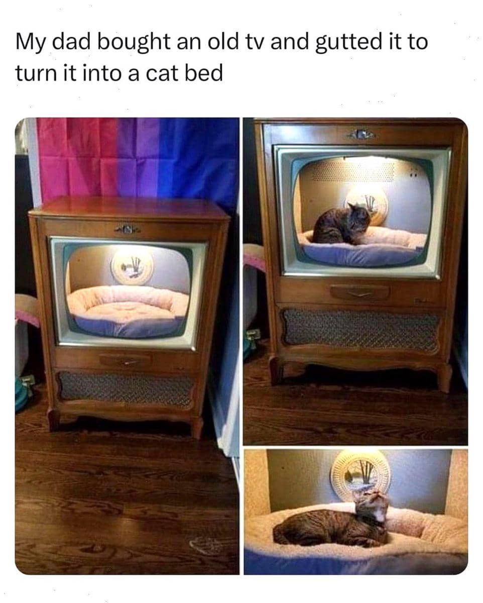 meme kucing dan ayah