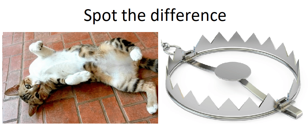 meme kucing menggigit