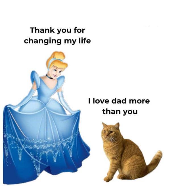 meme kucing dan ayah