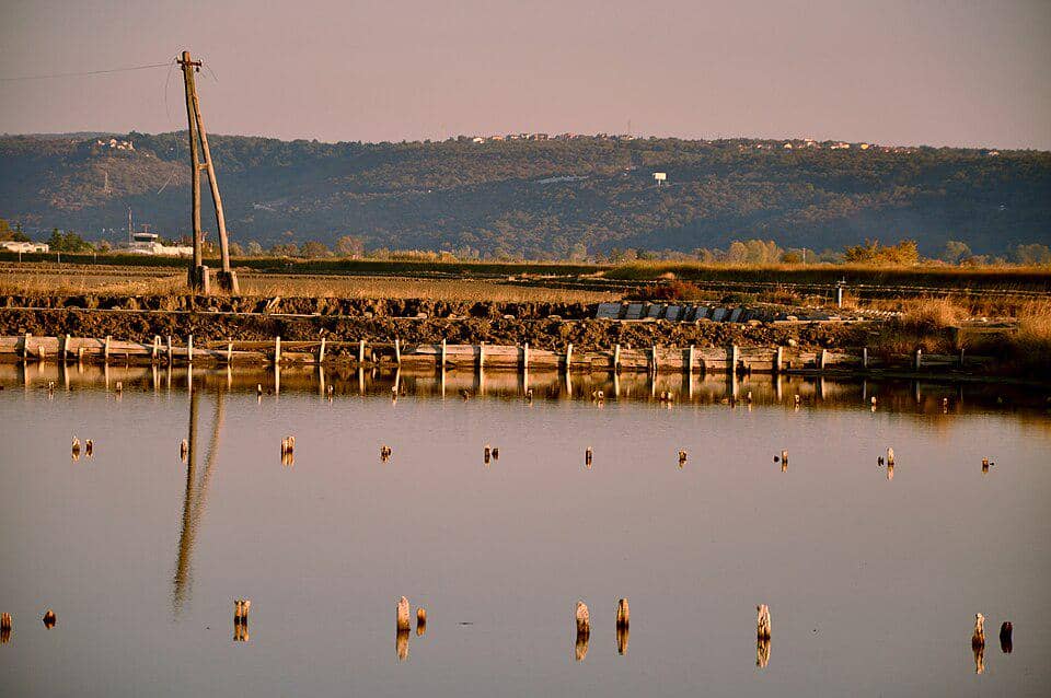 Sečovlje salt pans di Piran