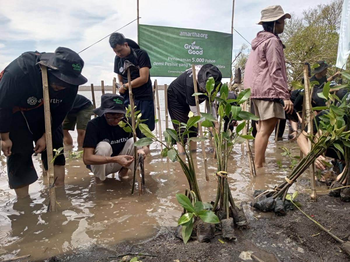 Penanaman bibit pohon mangrove di Pantai Baros Bantul.