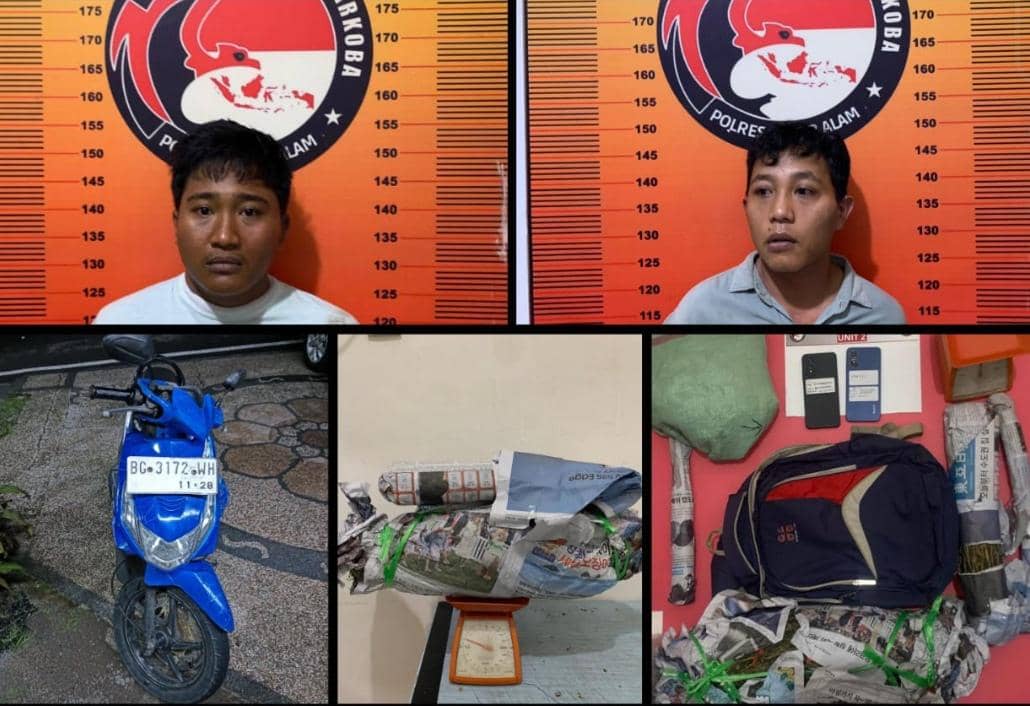Dua kakak beradik di Pagar Alam tertangkap usai simpan 1,7 kg ganja. (Dok. Polres Pagar Alam)