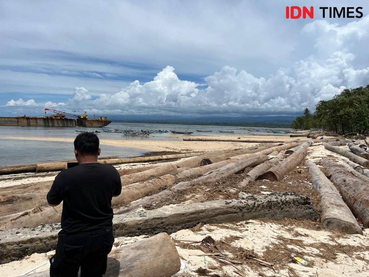 Penampakan kayu gelondongan terdampar di bibir pantai Tanjung Setia.
