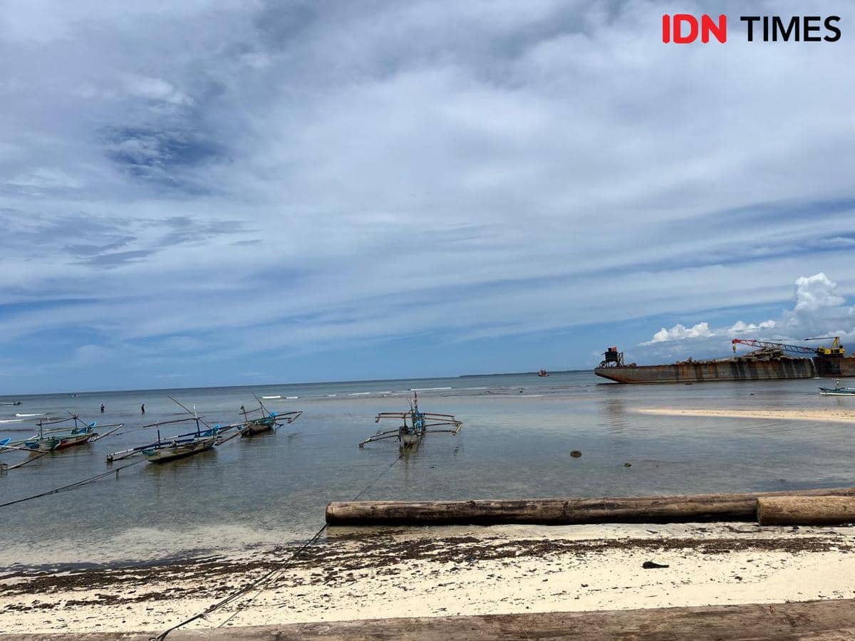 Penampakan kayu gelondongan terdampar di bibir pantai Tanjung Setia.
