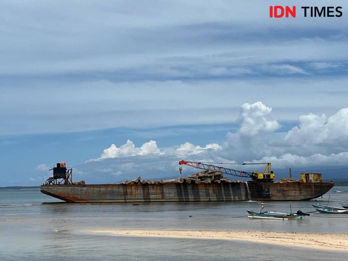 Penampakan kayu gelondongan terdampar di bibir pantai Tanjung Setia.