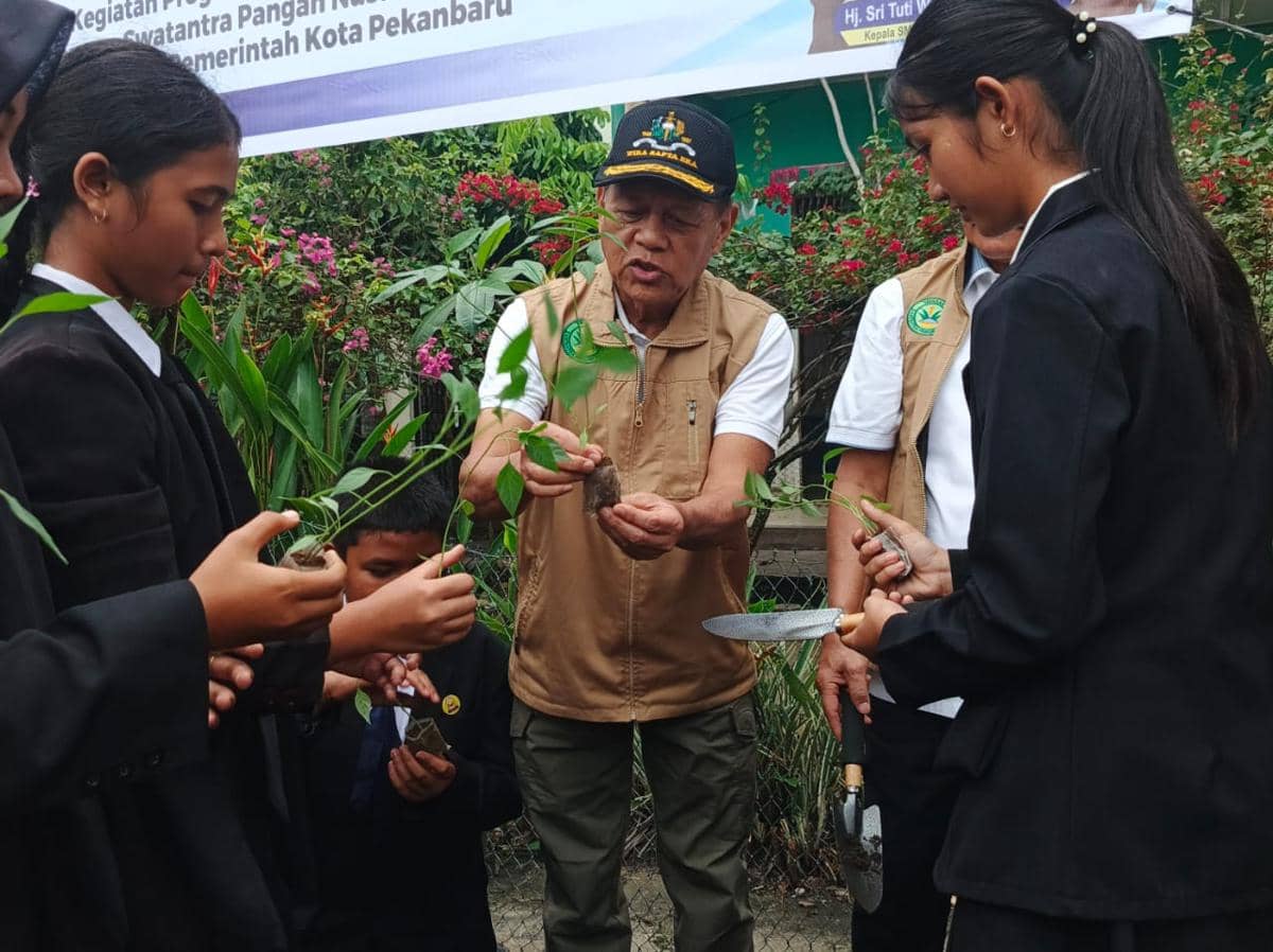 YSPN dorong urban farming di sekolah-sekolah Pekanbaru