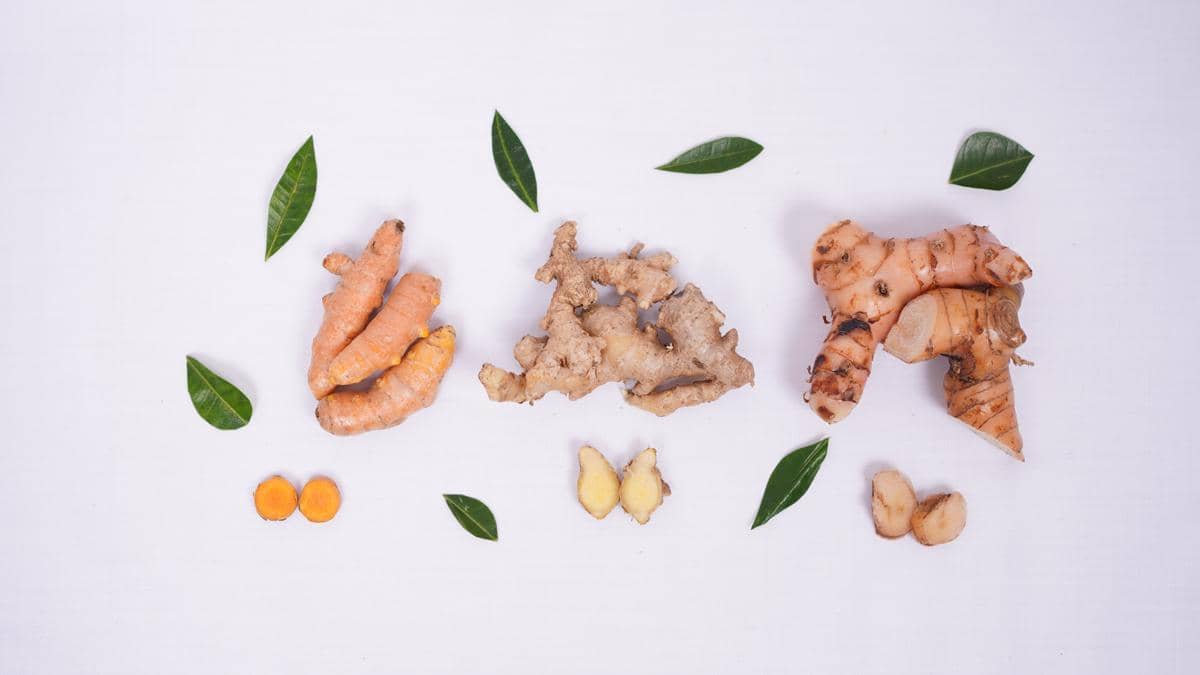 ilustrasi bahan baku jamu galian singset