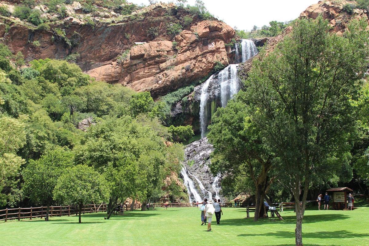 potret Walter Sisulu National Botanical Garden