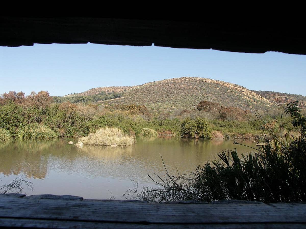 potret Walter Sisulu National Botanical Garden