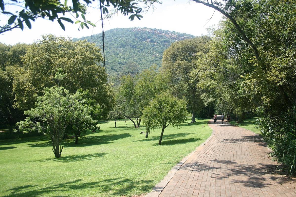 potret Walter Sisulu National Botanical Garden