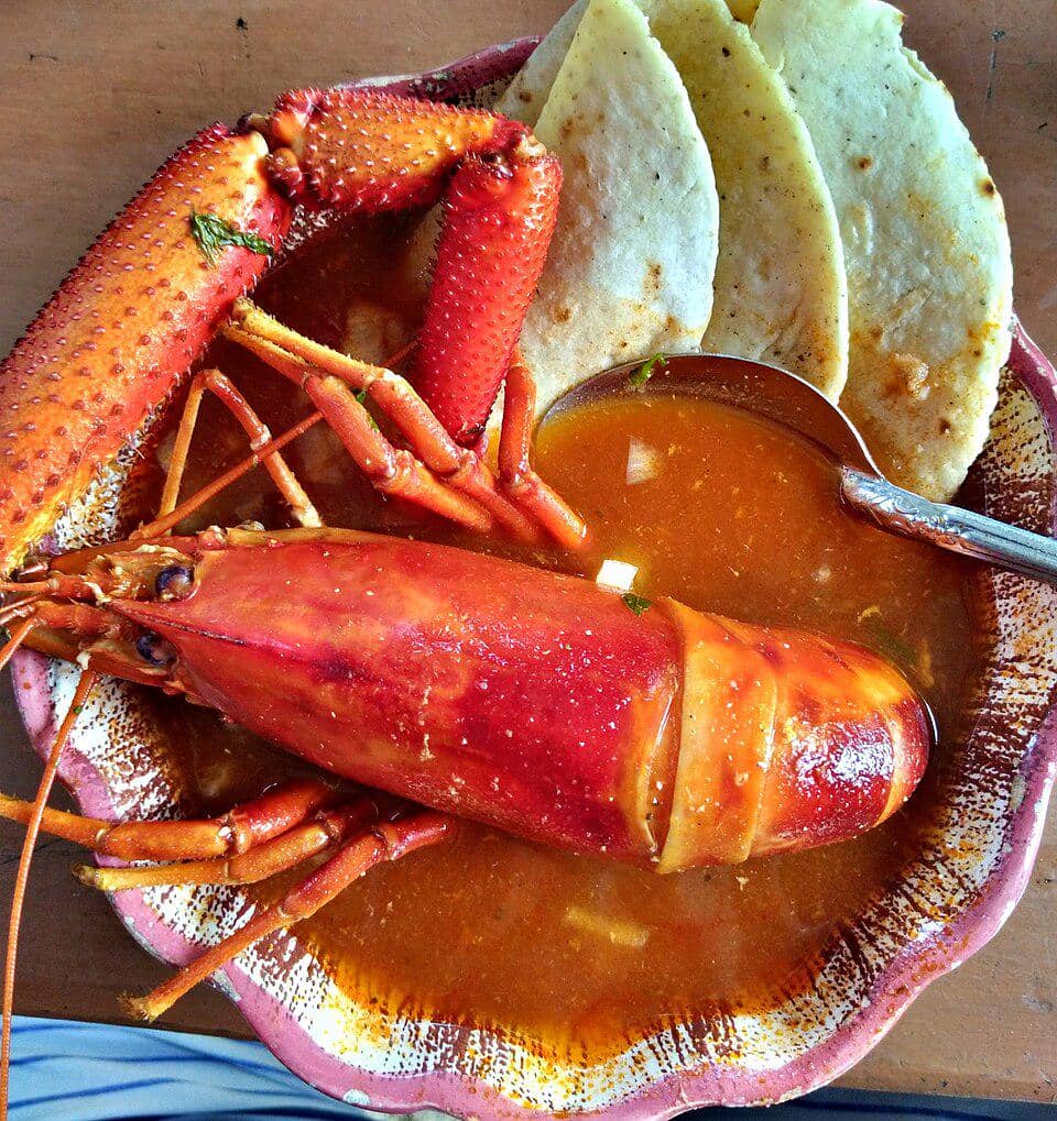 Hidangan langostino lobster jongkok
