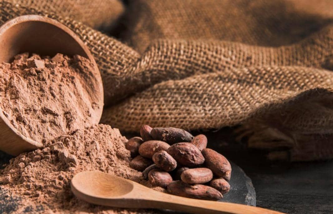 ilustrasi kakao (freepik.com/freepik)