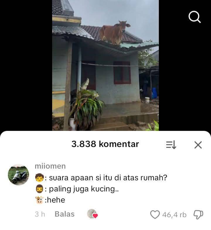 komentar netizen 