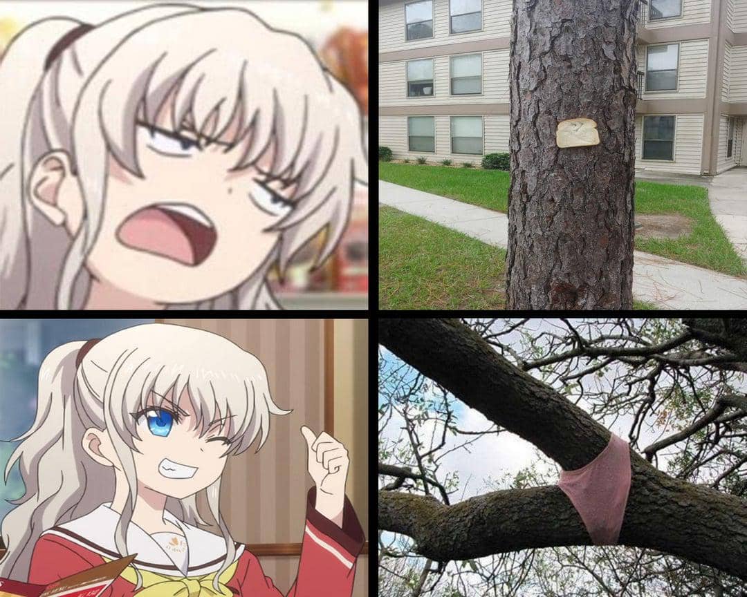 merme anime tentang pohon