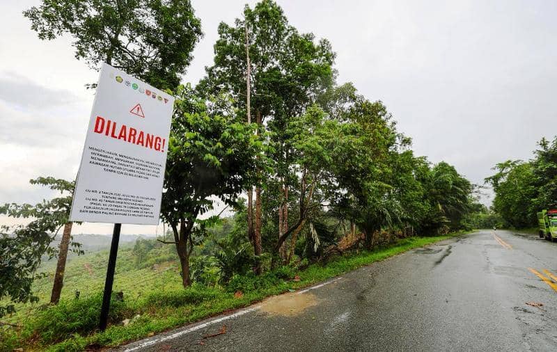 plang larangan yang dipasang Satgas Penanggulangan Aktivitas Ilegal Otorita IKN