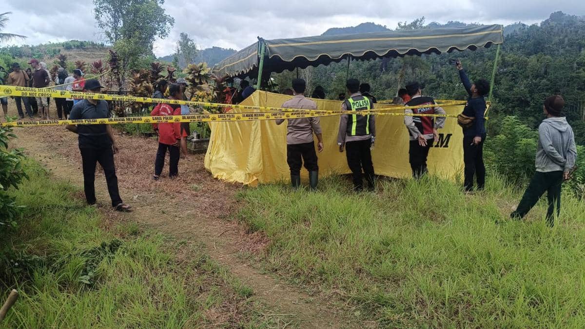 WhatsApp Image 2025-12-06 at 18.03.24.jpeg