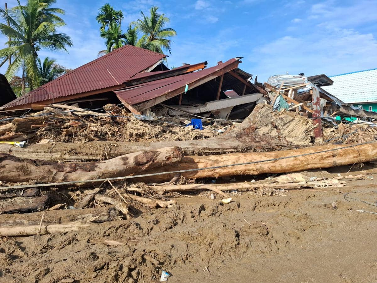 Kayu yang terbawa banjir di Kecamatan Garoga, Kabupaten Tapanuli Utara. (Dok. Kementerian Lingkungan Hidup)