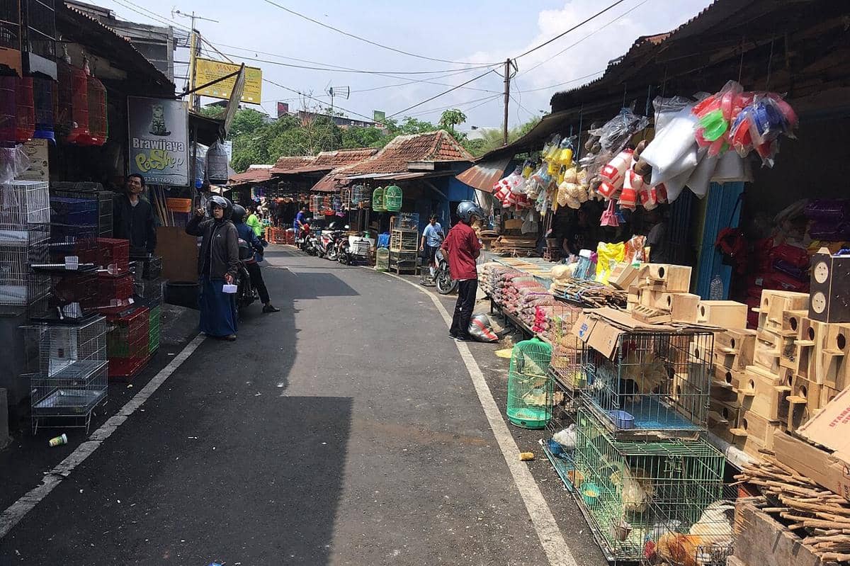 Pasar Splendid Malang