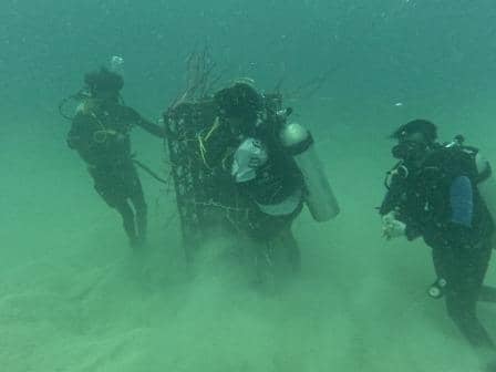 Apartemen ikan di perairan laut Sulawesi Selatan. Dok. Humas Pemprov Sulsel