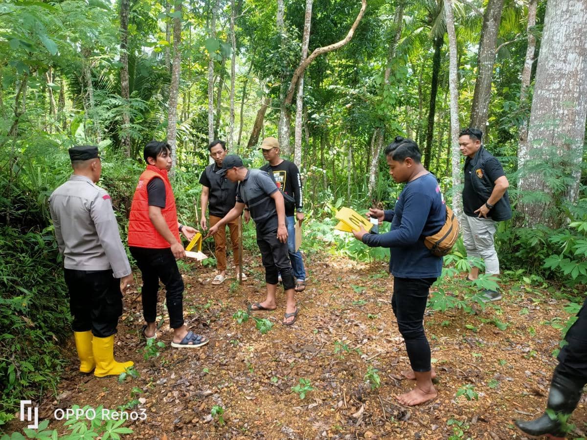 WhatsApp Image 2025-12-06 at 18.03.28.jpeg