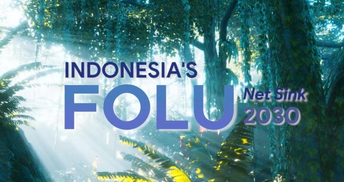 Folu Net Sink, Bencana Sumatra