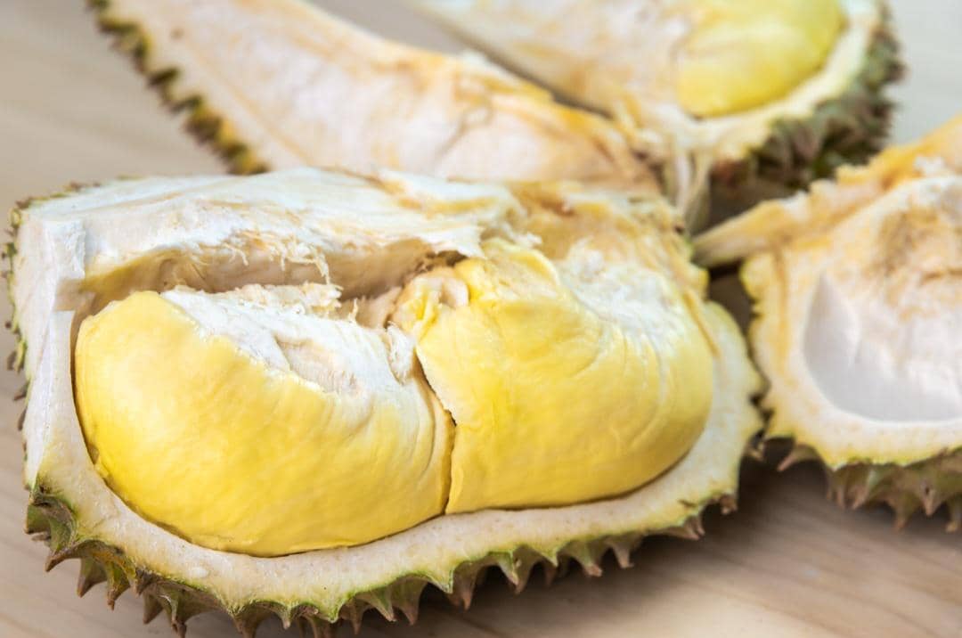 ilustrasi durian monthong