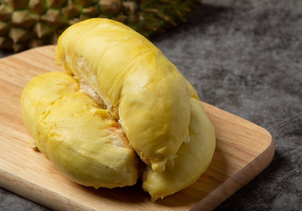 ilustrasi durian monthong 