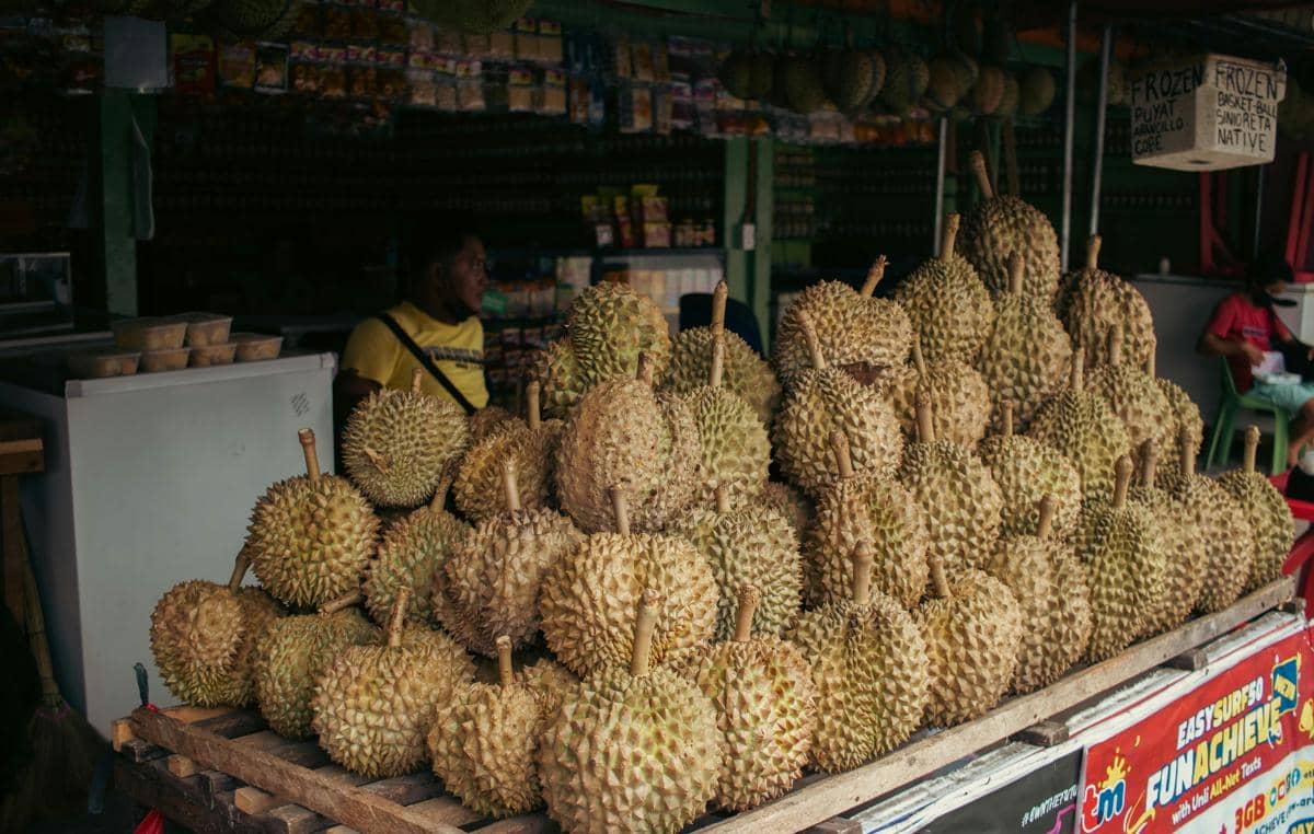 ilustrasi penjual durian 