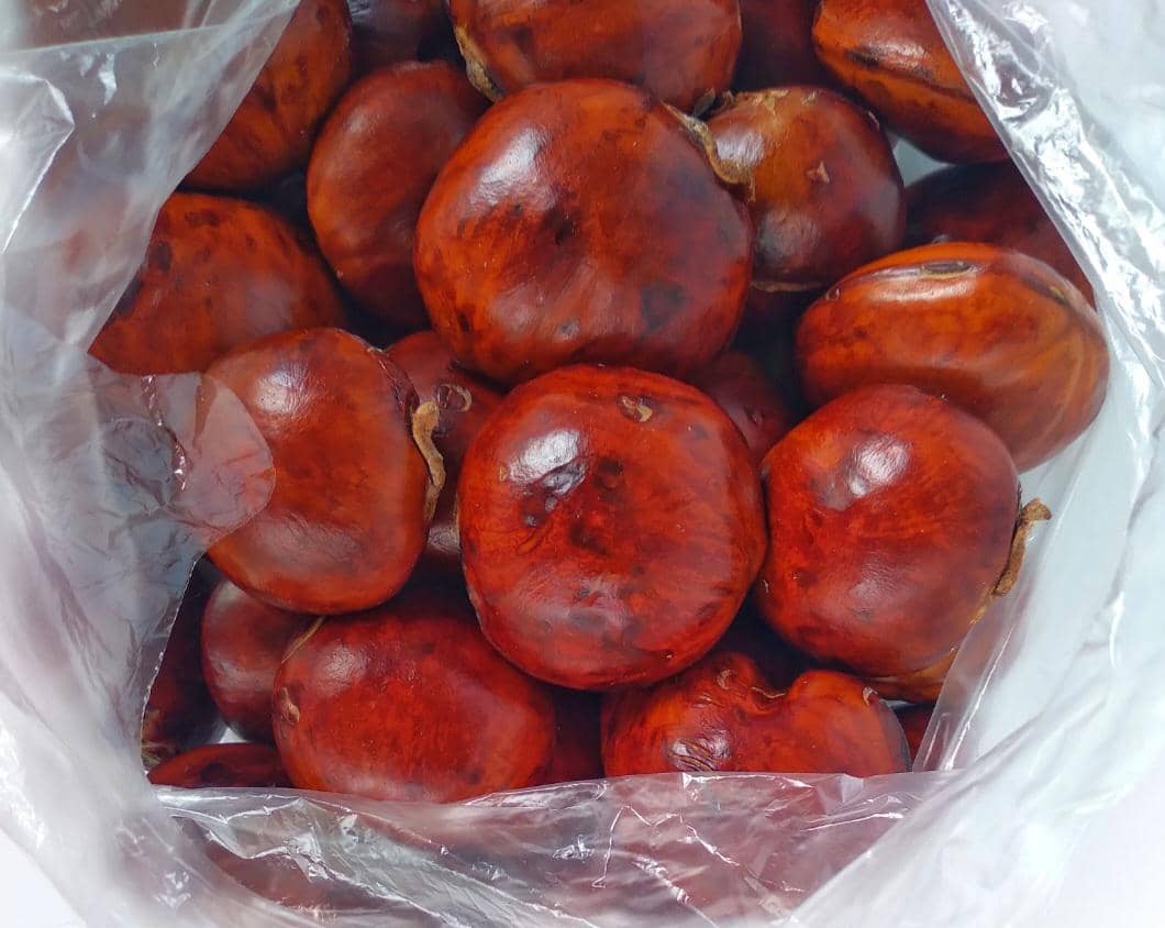jengkol