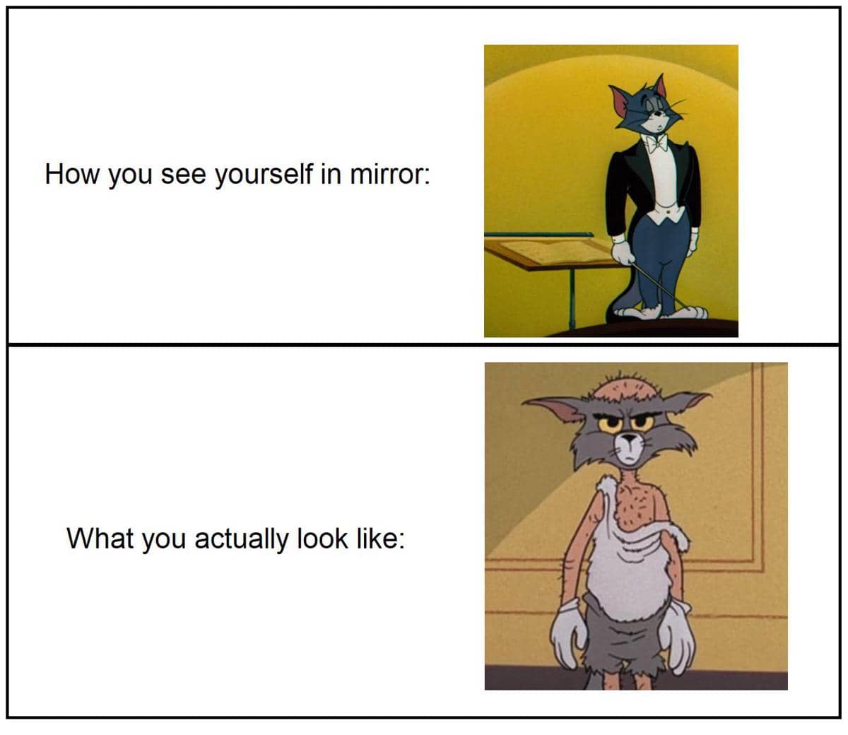 meme kartun tentang cermin