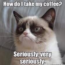 meme kucing tentang kopi