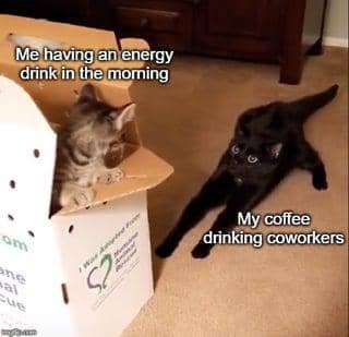 meme kucing tentang kopi