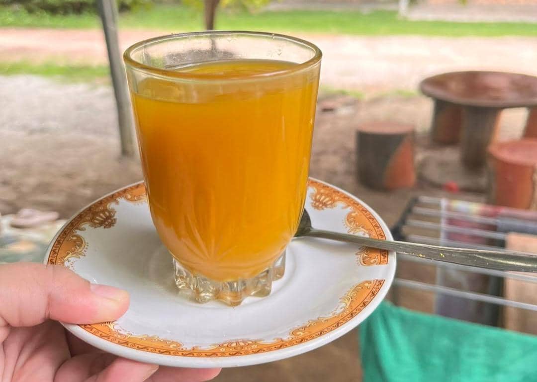 ilustrasi jamu temulawak (