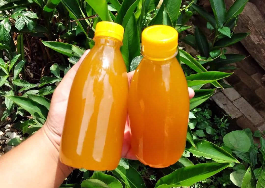 ilustrasi jamu sinom