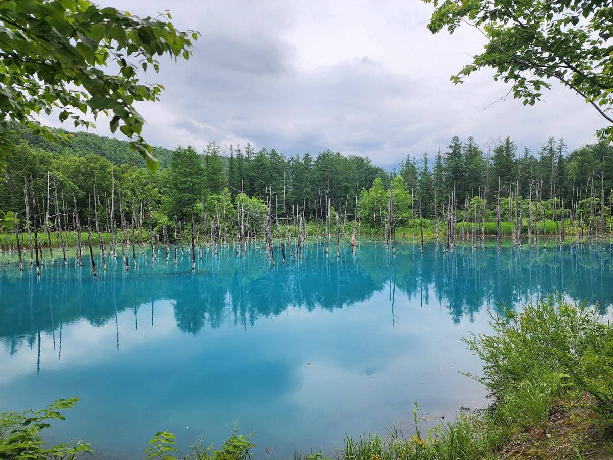 potret Shirogane Blue Pond