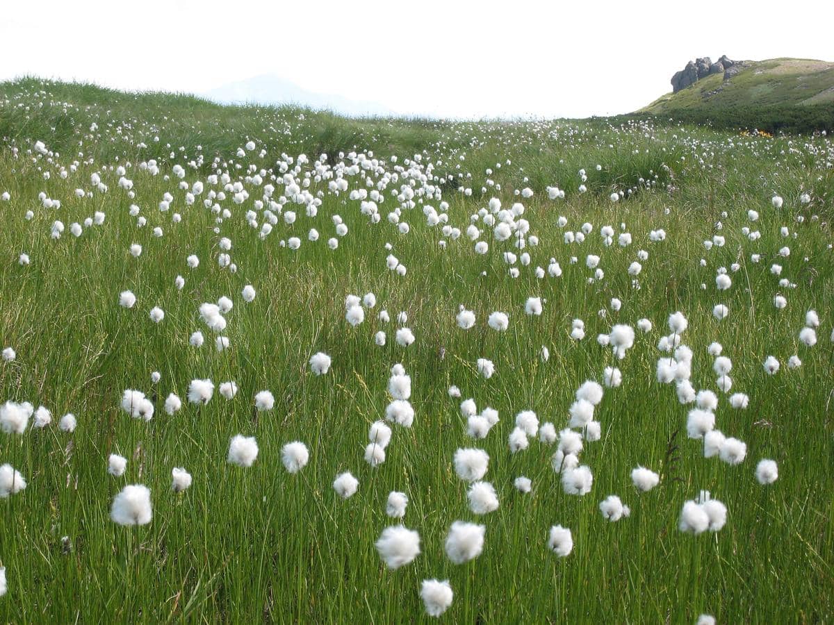 potret Daisetsuzan National Park