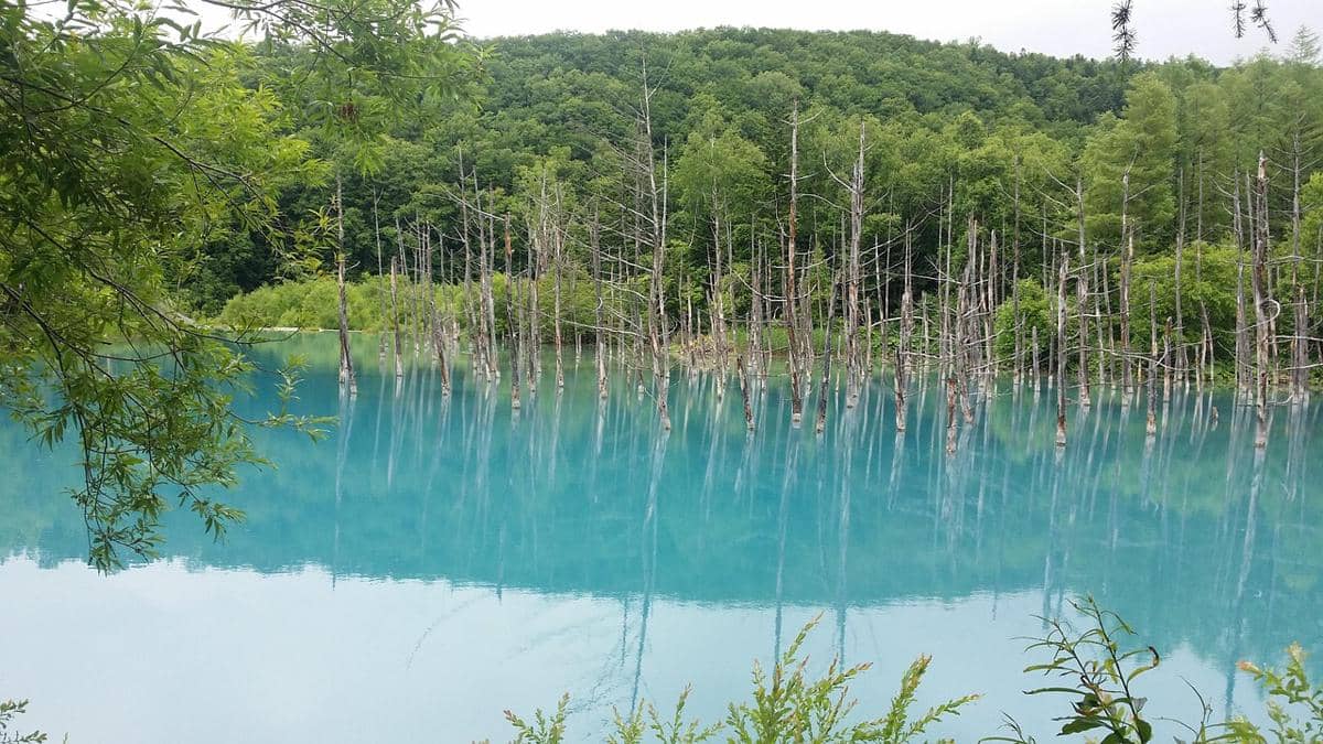 potret Shirogane Blue Pond