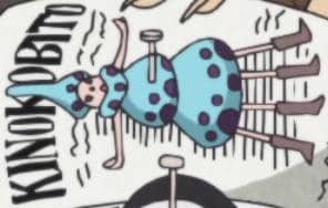 salah satu suku paling misterius di One Piece