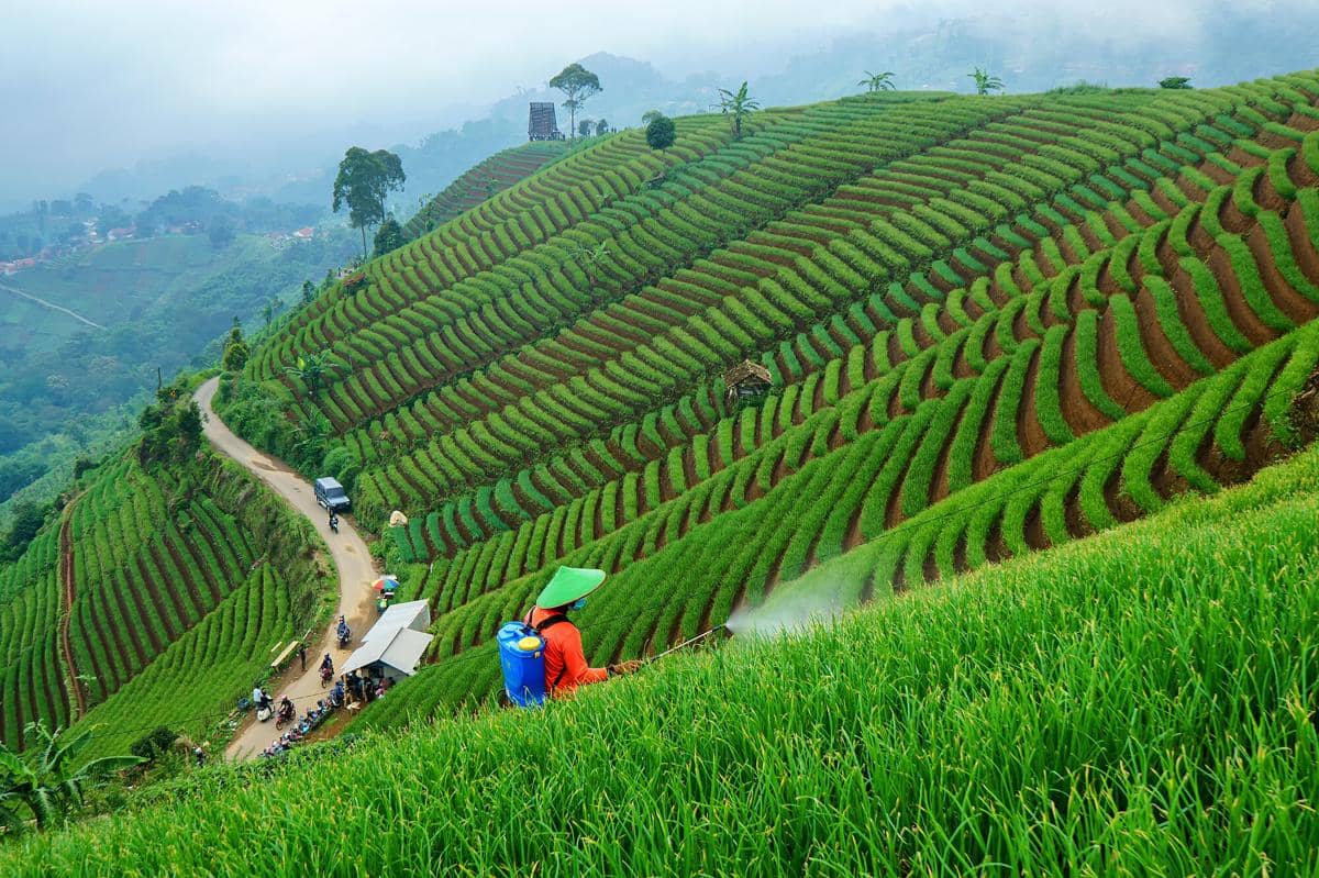 potret Terasering Panyaweuyan