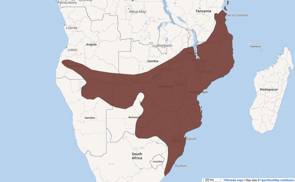ilustrasi peta persebaran kobra penyembur mozambik