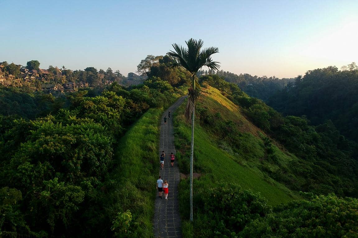 panorama di Campuhan Ridge Walk (dok.pribadi/Natalia Indah)