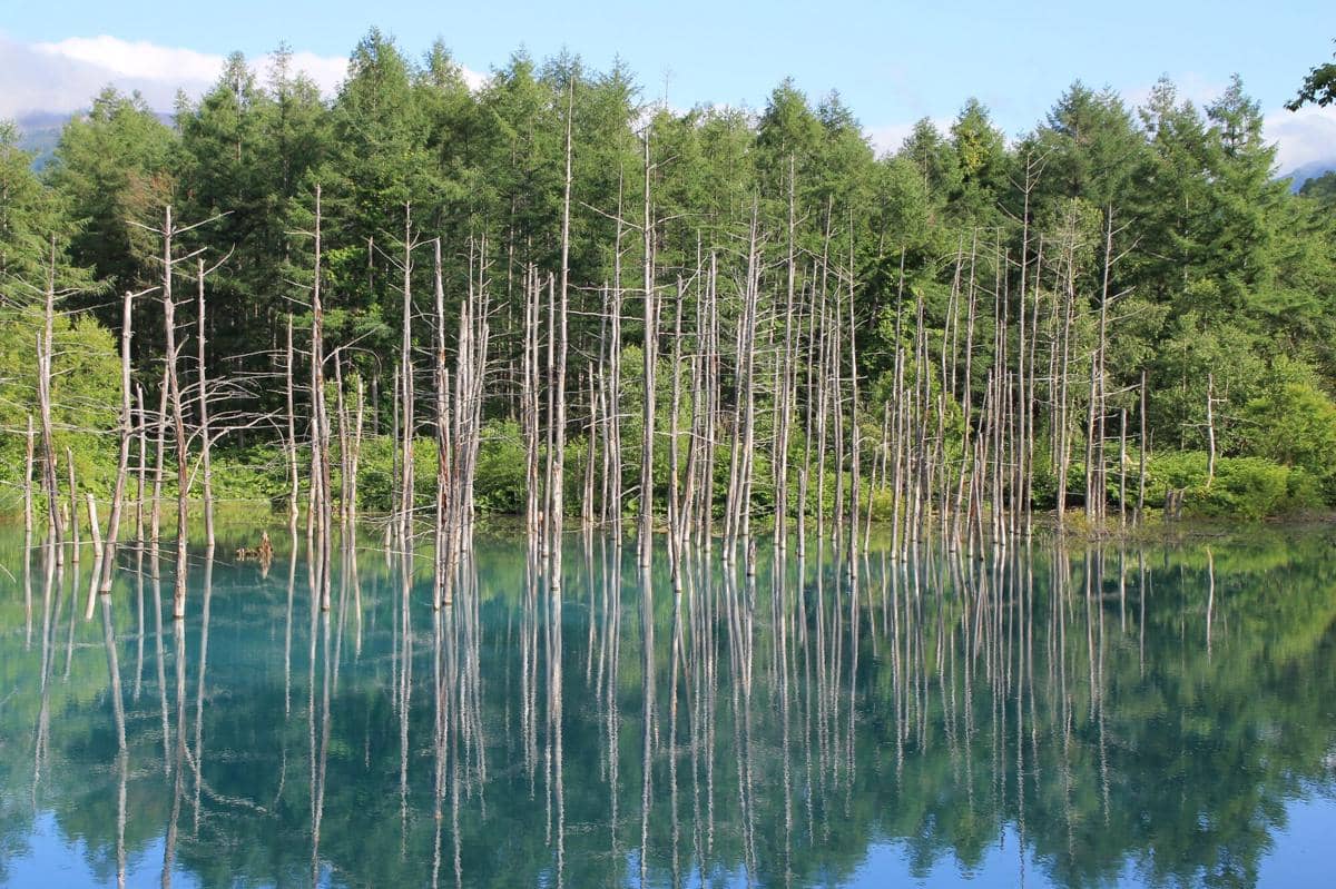 potret Shirogane Blue Pond