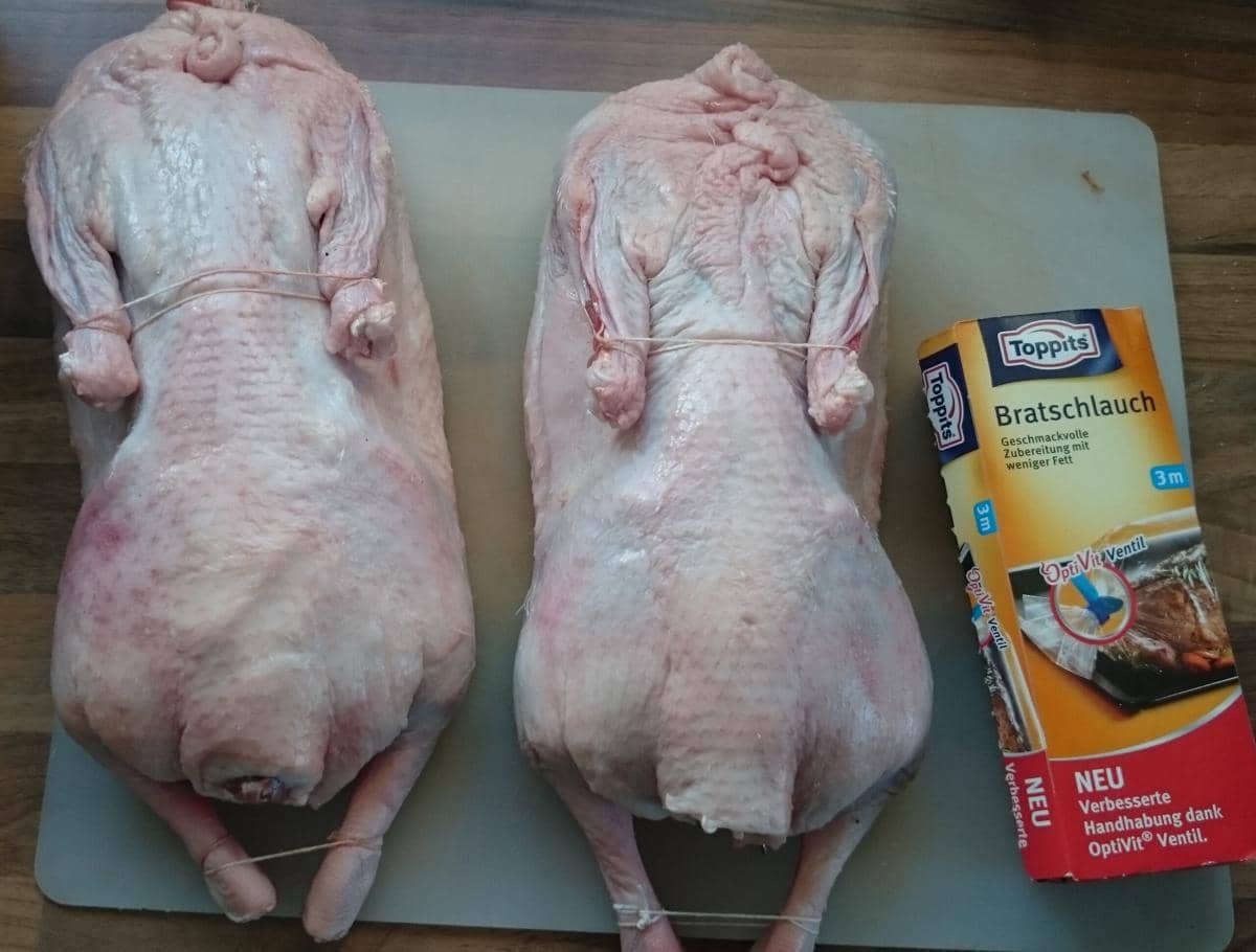 ilustrasi bahan-bahan itiak lado mudo asli kampuang