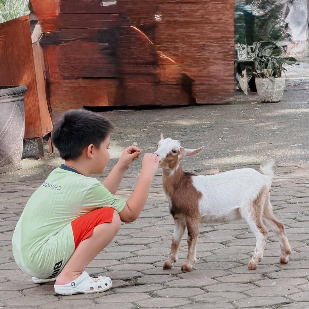 Citra Kirana ajak anak ke kebun binatang.