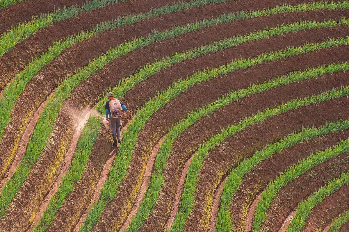 potret Terasering Panyaweuyan