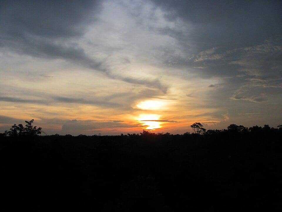 potret Matahari terbenam di Taman Nasional Tesso Nilo